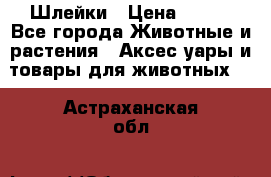 Шлейки › Цена ­ 800 - Все города Животные и растения » Аксесcуары и товары для животных   . Астраханская обл.